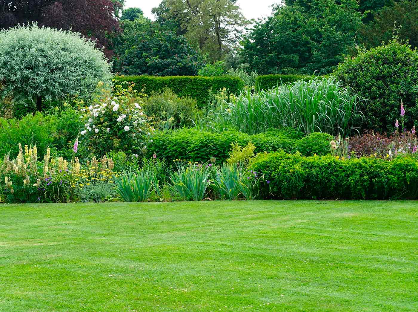 amenagement paysager marseille arbustes pelouse