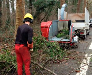 broyeur végétaux marseille