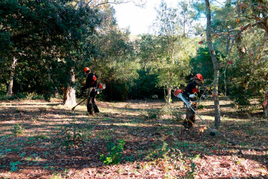 débroussaillage garrigue marseille