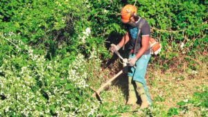 debroussaillage terrain friche marseille