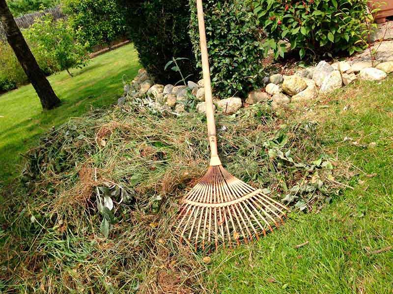 debroussaillage terrain friche marseille