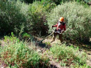 débroussaillage terrain marseille
