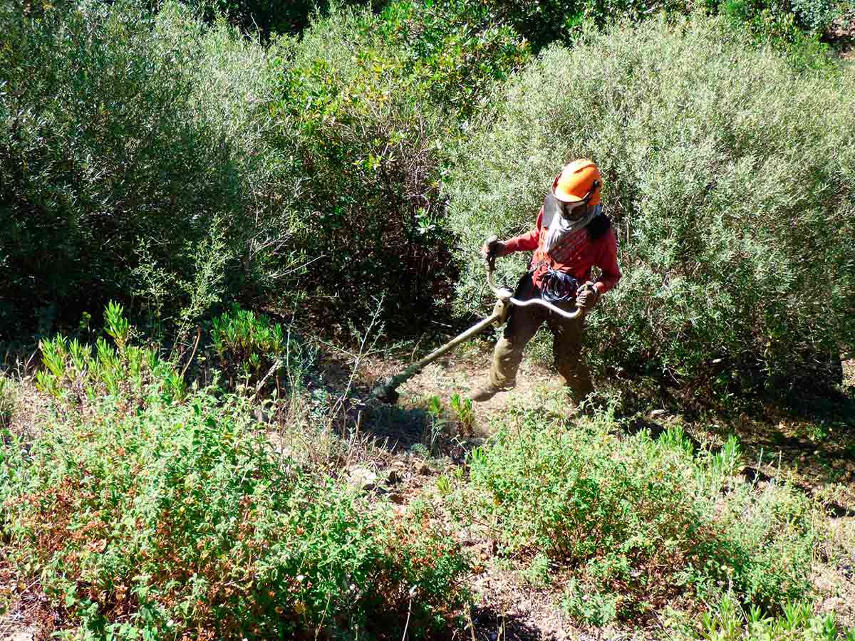débroussaillage terrain marseille