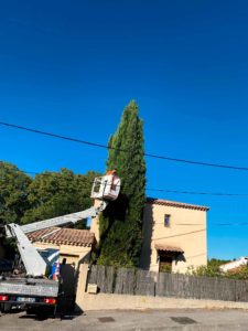 elagage nicky elagage marseille