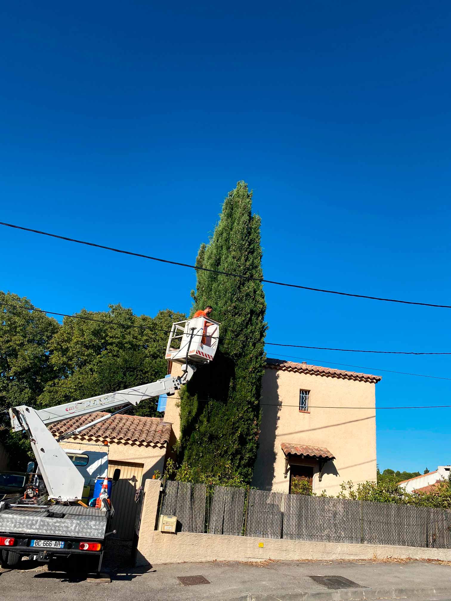 elagage nicky elagage marseille