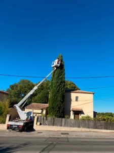 elagage nicky elagage marseille