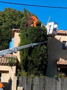 elagage nicky elagage marseille