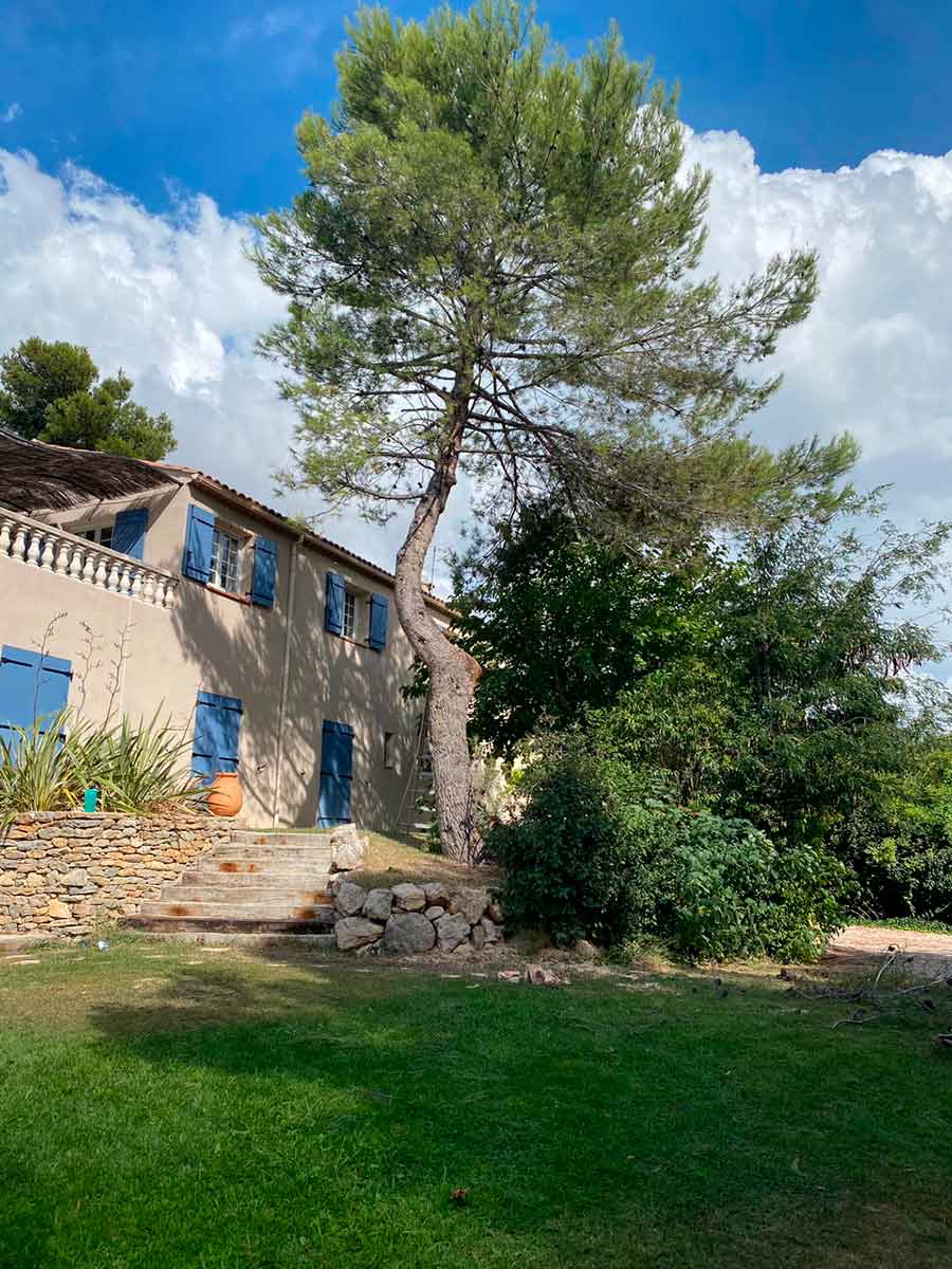 Elagage Pin Marseille