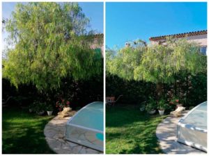 etetage arbre marseille 13