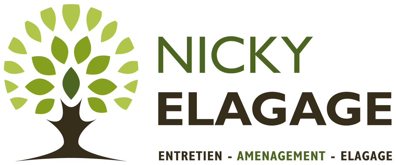 Nicky Elagage