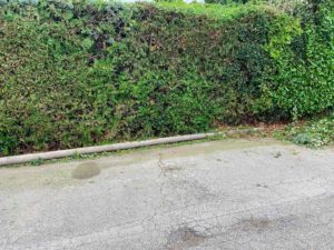 taille de haies marseille