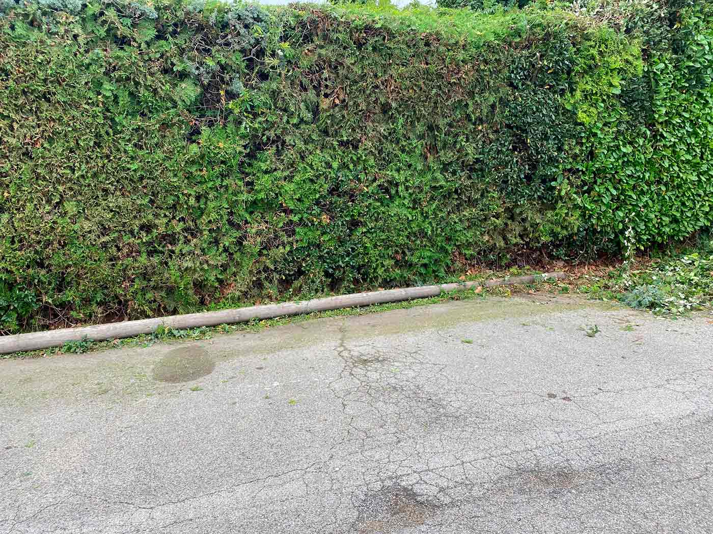 taille de haies marseille