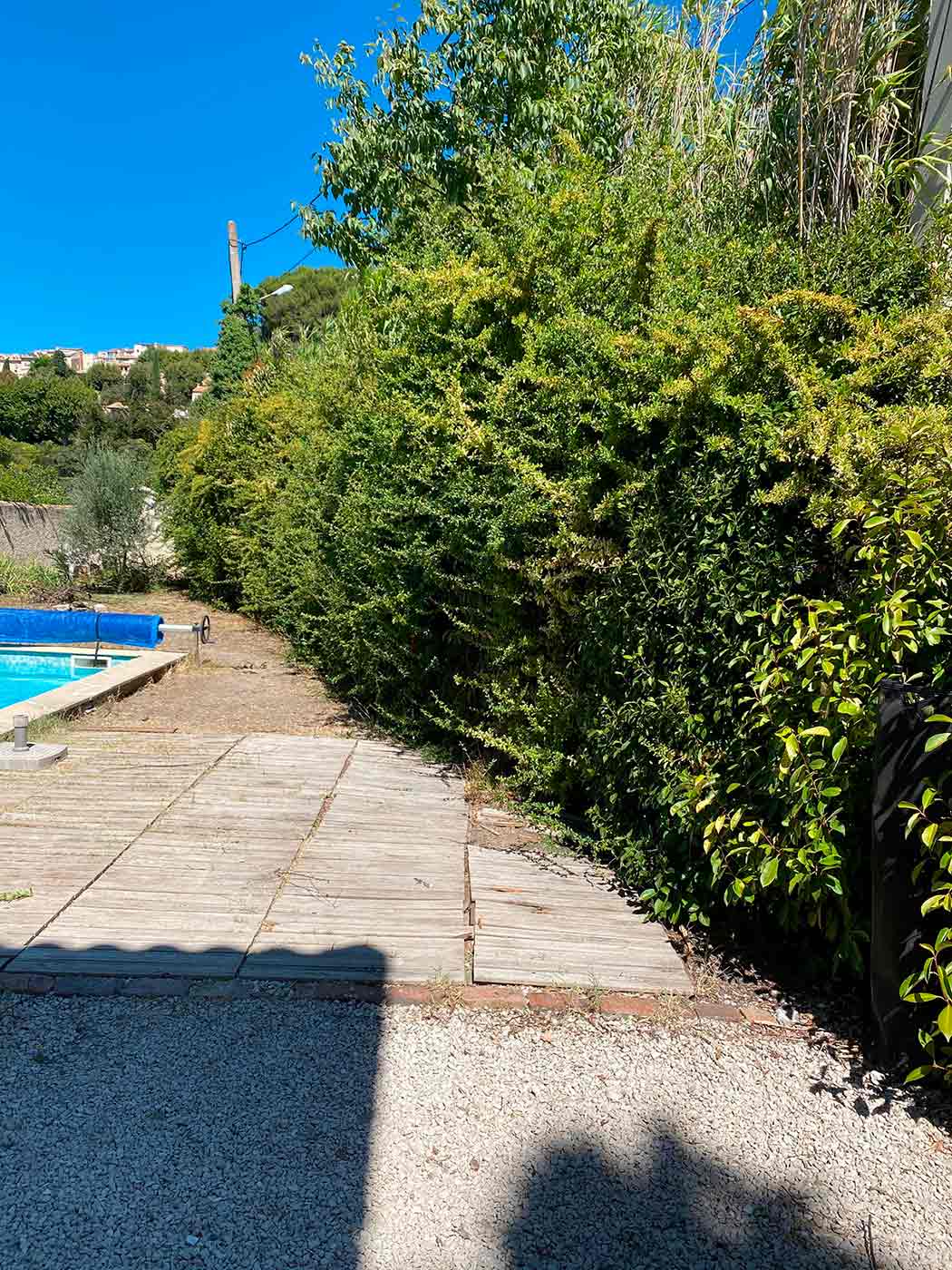 taille végétaux marseille