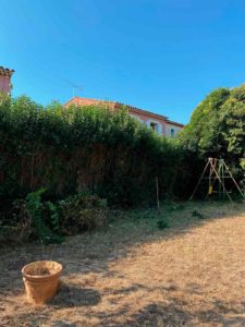 taille arbustes marseille